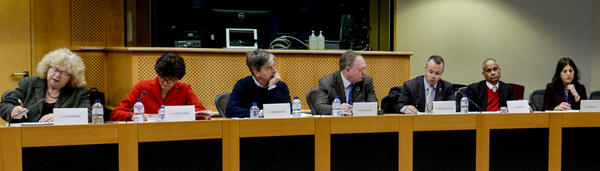 Wednesday 25th January: Poverty Intergroup event – Promising practises on how to successfully integrate migrants