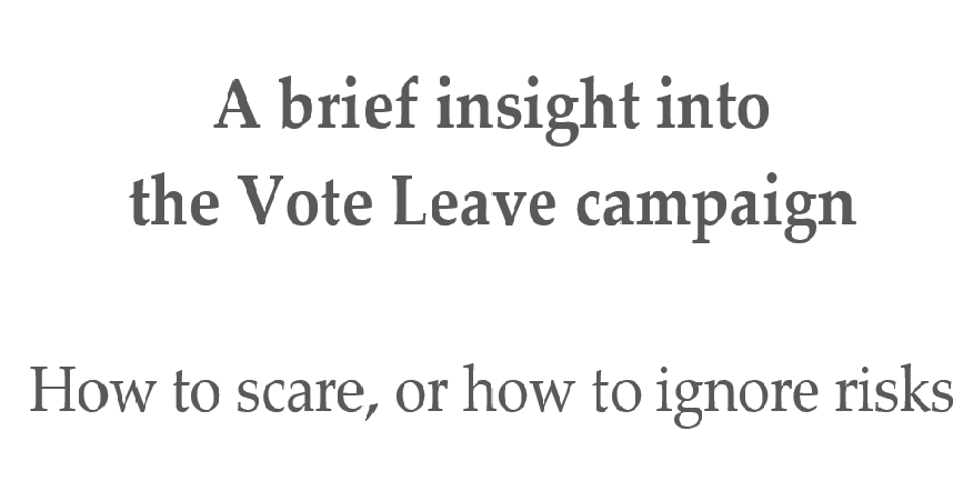 A brief insight into the Vote Leave campaign